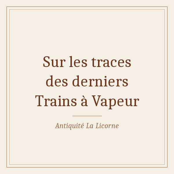 Train à vapeur